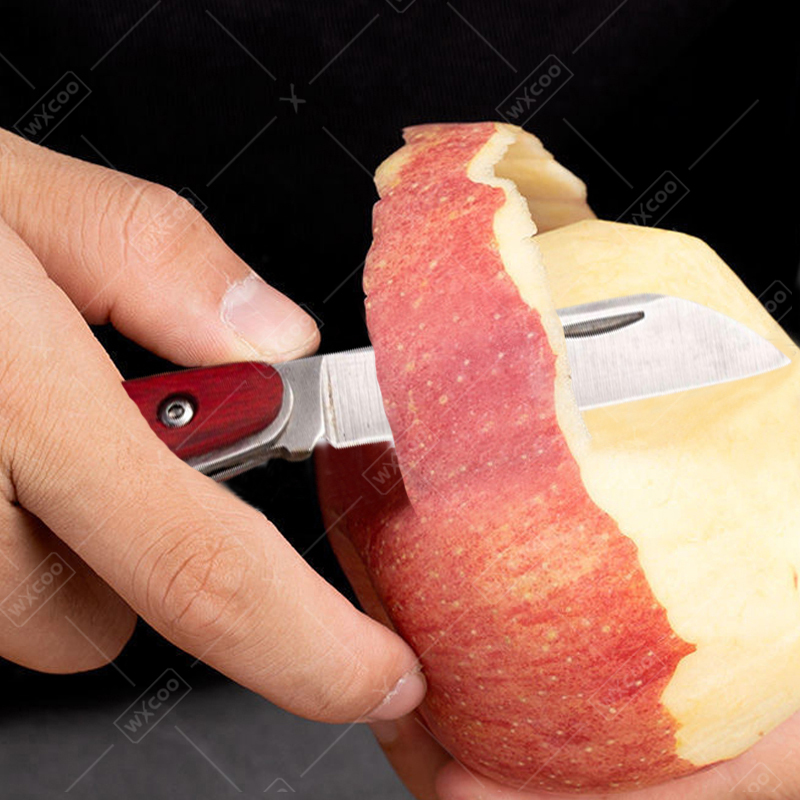 Edelstahl-Taschenmesser, Obstm – Kitchen Baking Store Bewertung und Preis