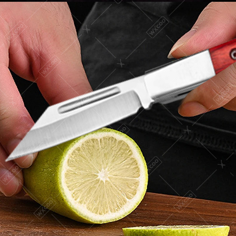 Edelstahl-Taschenmesser, Obstm – Kitchen Baking Store Bewertung und Preis